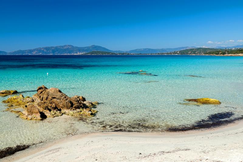 Venez découvrir tous les plus beaux endroits paradisiaques de la Rive sud du Golfe D’Ajaccio avec notre nouvelle promenade en mer au départ d'Ajaccio et de Porticcio