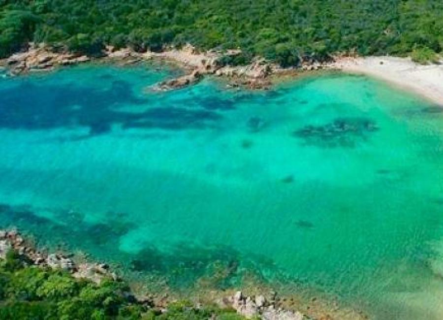 catamaran tour ajaccio