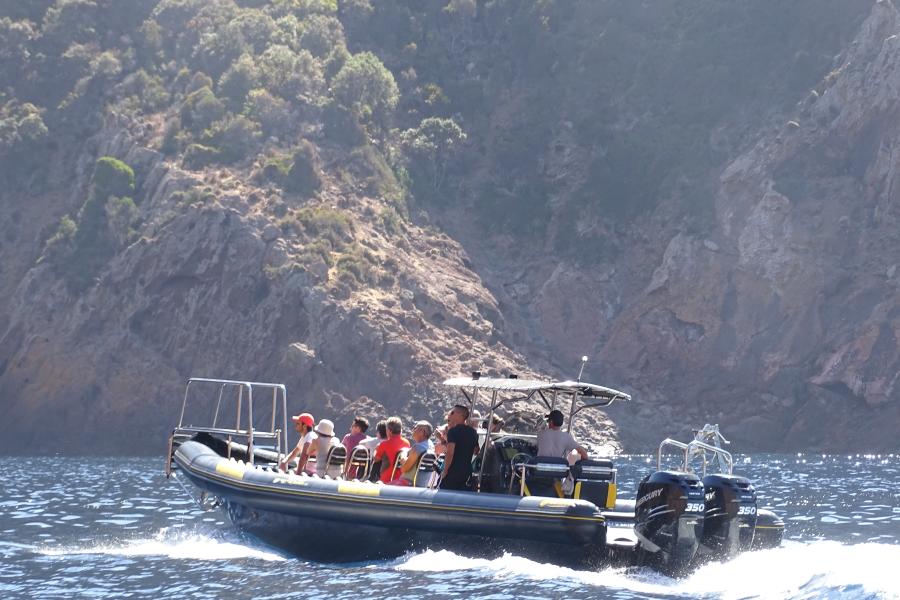 Rent a boat to reach Girolata